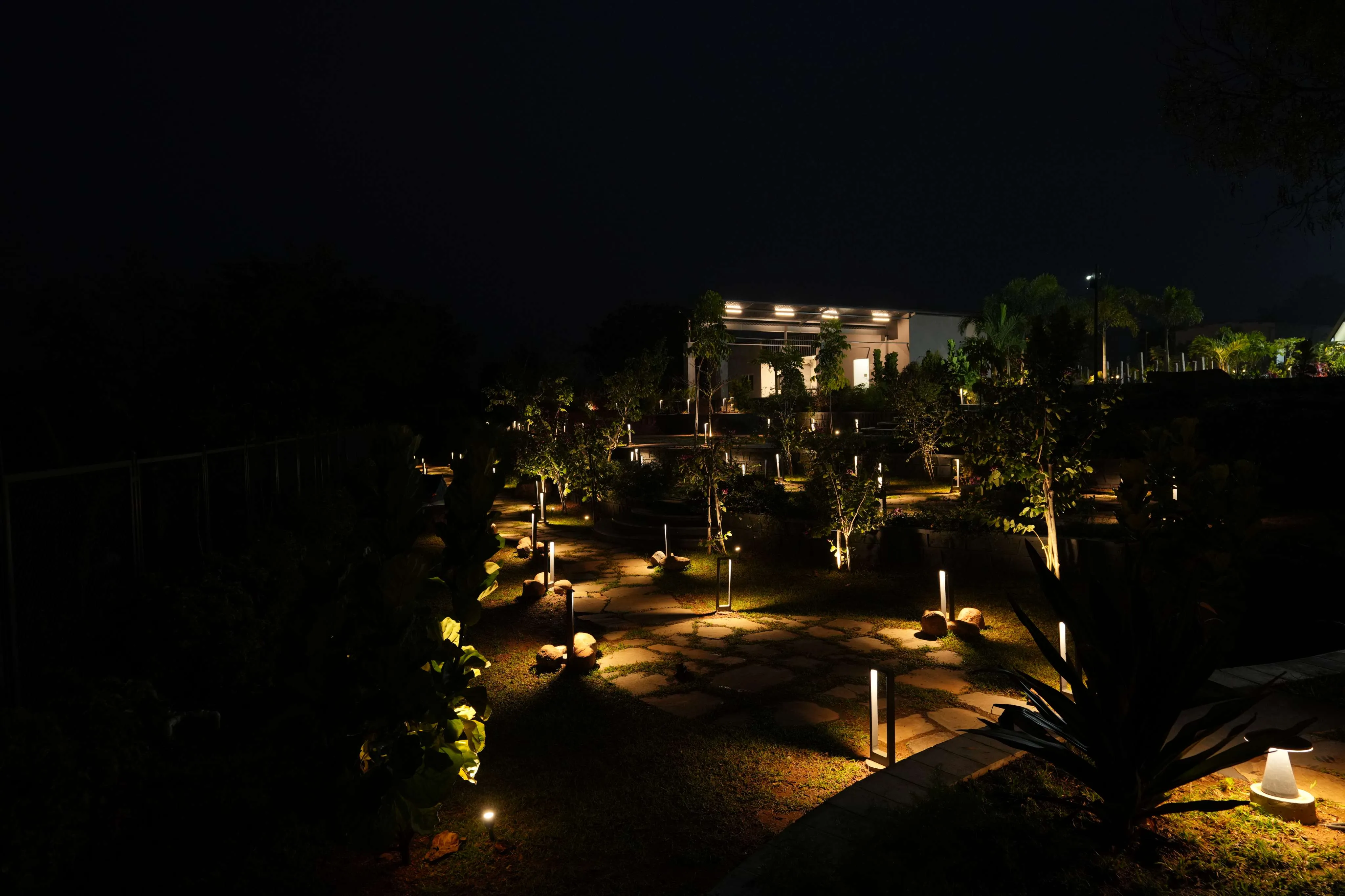 Night View